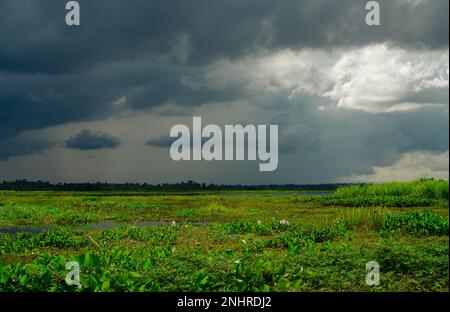 Réservoir d'eau naturelle. Durabilité de l'eau. Paysage d'herbe verte et ciel couvert. Eau douce pour la consommation humaine et l'utilisation en agroalimentaire Banque D'Images