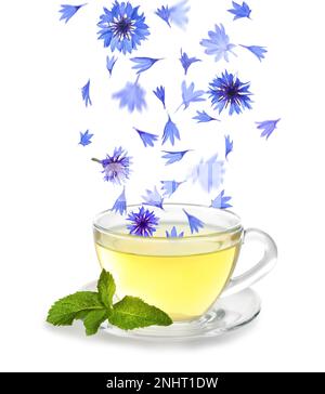 Beaux pétales de fleur de maïs bleu tendre tombant dans une tasse de thé sur fond blanc Banque D'Images