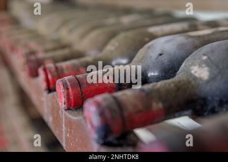 Chianti de raisins Sangiovese vieillir dans de vieilles bouteilles de vin dans un vignoble dans la célèbre région de Chianti Classico, Toscane, Italie Banque D'Images