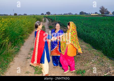 Groupe de femmes punjabi portant une robe traditionnelle colorée dansant ensemble dans le domaine agricole célébrant le festival Baisakhi ou vaisakhi. Banque D'Images