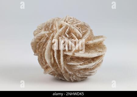 La rose du désert ou la rose du sable est une formation semblable à une rose de grappes de cristaux de gypse et de grains de sable abondants Banque D'Images