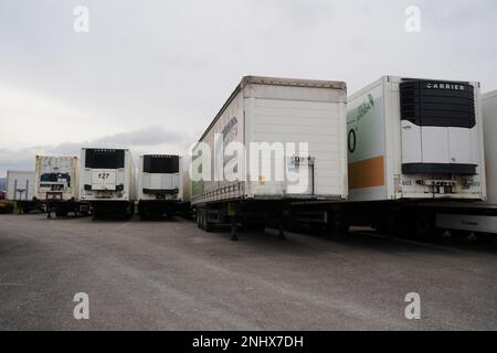 Plusieurs semi-remorques ou remorques blanches sans pont avant provenant de différentes compagnies de transport se garer sur un grand parking en asphalte. Banque D'Images