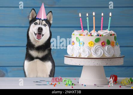 Chien mignon avec chapeau de fête et délicieux gâteau d'anniversaire sur fond bleu en bois Banque D'Images