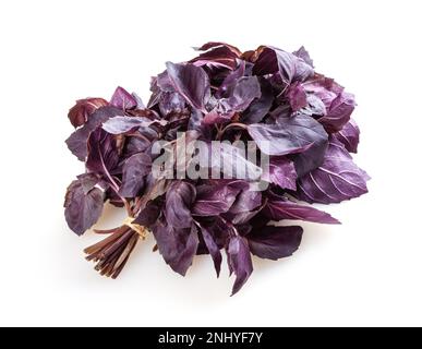 Feuilles de basilic pourpre frais isolé sur fond blanc Banque D'Images