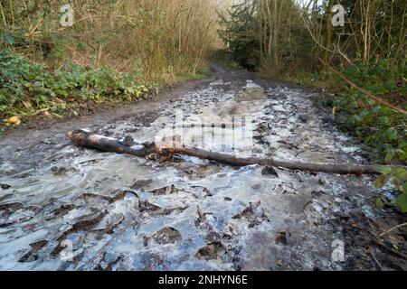 Une flaque boueuse gelée sur un sentier avec des branches et des risques de trébuchement s'écoule en laissant la glace gelée au-dessus du sol et des ornières égouttés Banque D'Images