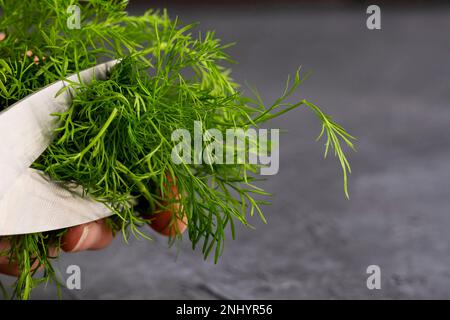 ciseaux de cuisine découpe de l'aneth dans la cuisine sur une planche à découper Banque D'Images