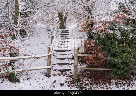 Vol de marches de bois et de sol couvertes de neige menant à une crête entre les arbres comme chemin de passage séparant les frontières Banque D'Images