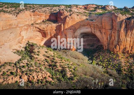 Monument national Navajo en Arizona Banque D'Images