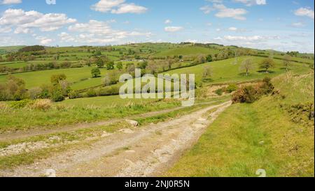 Vue panoramique sur les fermes et les collines au-dessus de la ville De Corwen-Nord-Galles Banque D'Images