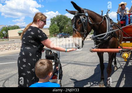 L'équipe de mule de la Garde couleur montée de fort Carson de la Division d'infanterie 4th fait des amis pendant qu'ils se rendent en ville pour préparer les sœurs mules, Molly et Mae, pour le défilé de foire du comté de Garfield, Rifle, Colorado, le 4 août 2022. Ce sera le premier défilé des mules depuis que le garde de couleur monté les a acquis il y a trois mois. Banque D'Images