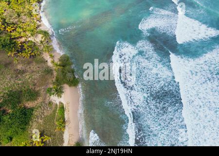 Différents tons de bleu dans la mer des Caraïbes à Capurgana, Colombie Banque D'Images