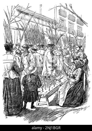 Espagne. Santa Semana. Mercado populaire de palmas y palmones en la Rambla de Catalunya de Barcelona. Año 1896. Auteur: José Luis Pellicer Montseny. Banque D'Images