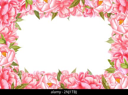 Fleurs de pivoine roses et crème dessinées à la main, feuilles et bourgeons verts sur fond blanc. Scrapbook design, invitation de mariage, labe Banque D'Images