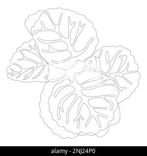 Une ligne continue de feuille. Concept de vecteur d'illustration à trait fin. Dessin de contour idées créatives. Illustration de Vecteur