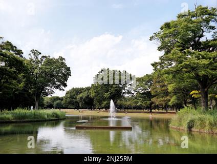 Tokyo, Japon - sept, 2017 : fontaine et lac du parc Yoyogi entouré d'arbres Banque D'Images