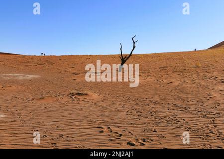 Explorer le désert du Namib en Namibie avec G Adventures Banque D'Images