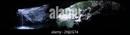 Vue panoramique de Natural Bridge, une chute d'eau dans une grotte. Parc national de Springbook, Australie Banque D'Images