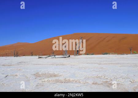 Deadvlei Voyage sur mesure en Afrique Banque D'Images