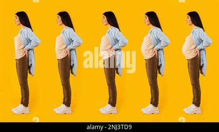 Stades de la grossesse. Jeune femme avec différentes tailles de ventre debout sur fond jaune studio, pleine longueur Banque D'Images