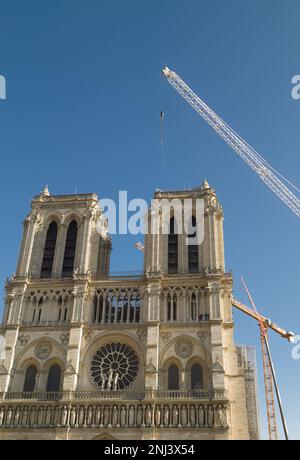 Cathédrale notre Dame entourée de grues pendant les travaux de rénovation après le feu de 2019, Paris France Banque D'Images