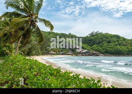 Plage d'Anse Takamaka, île Mahé, Seychelles Banque D'Images
