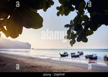 Bateaux traditionnels à longue queue au beau paysage de plage tropicale à l'île de Koh Phi Phi dans le sud de la Thaïlande Banque D'Images