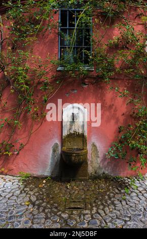 Rome (Italie) - les roses municipales touristiques, sur la colline de l'Aventino, dans le centre de Rome; ouvert au printemps et en été, accueille de nombreuses espèces de roses Banque D'Images