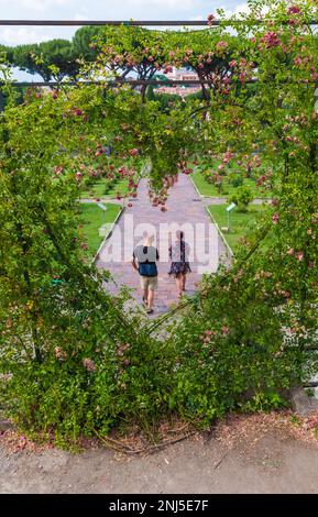 Rome (Italie) - les roses municipales touristiques, sur la colline de l'Aventino, dans le centre de Rome; ouvert au printemps et en été, accueille de nombreuses espèces de roses Banque D'Images