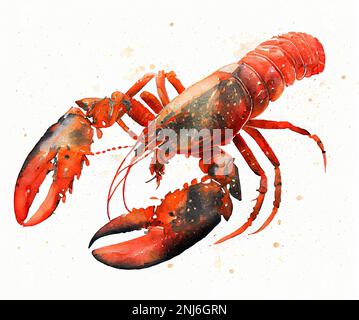 Illustration de l'aquarelle dessinée à la main par un animal de mer de homard Banque D'Images