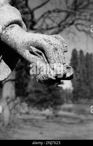 La statue d'une main en pierre tenant une belle fleur dans un noir et blanc monochrome. Banque D'Images