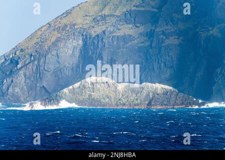 Les falaises rocheuses donnent lieu à des troupeaux d'oiseaux de mer à Cape Horn, sur l'île Hornos au Chili Banque D'Images