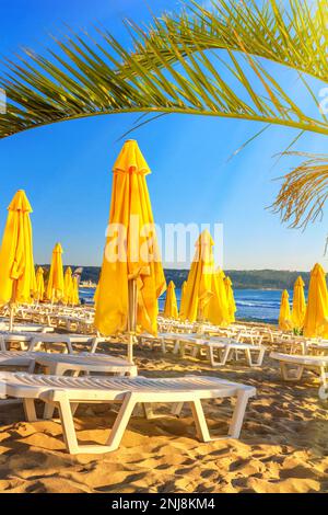 Paysage côtier - vue sur les parasols et les chaises longues jaunes de plage, ville de Varna, sur la côte de la mer Noire de Bulgarie Banque D'Images