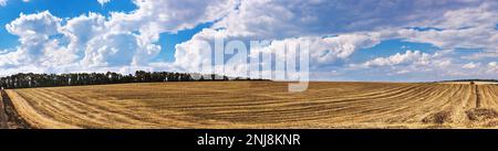 Champ de blé récolté dans les rayons du soleil d'été. Concept de fin de récolte du blé. Paysage rural, panorama, bannière Banque D'Images