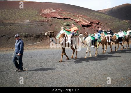 Excursion à dos de chameau dans le parc national de timanfaya Lanzarote, îles Canaries, Espagne Banque D'Images