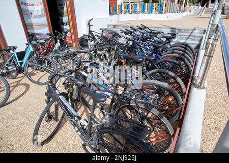 Beaucoup de vélos à louer dans un magasin de location playa blanca Lanzarote, îles Canaries, Espagne Banque D'Images