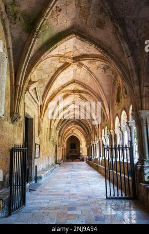 Cloître de la cathédrale de Tarragone, église catholique romaine construite au début du 12th siècle dans un style architectural roman. Banque D'Images