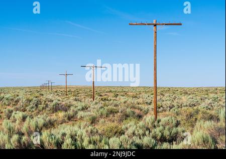 Parc National de la Forêt Pétrifiée, Arizona Banque D'Images