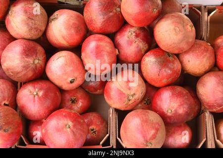 pile de grenade sur le marché Banque D'Images