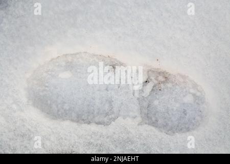 Sedona dans la neige Banque D'Images