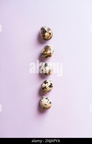 Œufs de caille alignés sur fond violet Banque D'Images