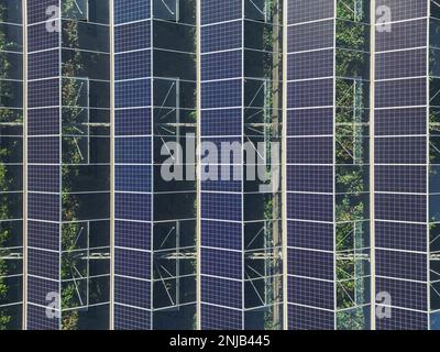 Serre pour la culture de légumes avec panneaux photovoltaïques montés Banque D'Images