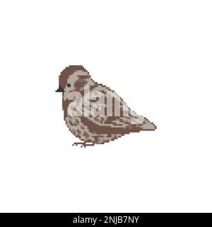 Pixel Sparrow art. 8 bits petit oiseau. Illustration vectorielle. Illustration de Vecteur