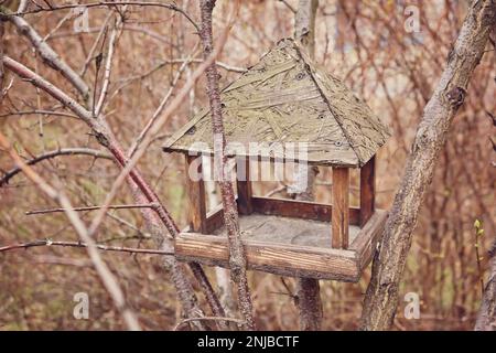 Mangeoire à oiseaux fantaisie en bois sur la souche dans le parc Banque D'Images