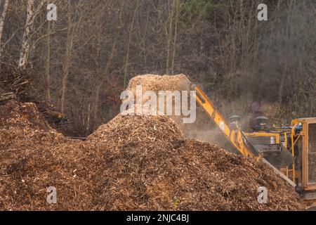 Göteborg, Suède - novembre 10 2022 : copeaux de bois déversés dans une pile par un grand broyeur de bois industriel Banque D'Images