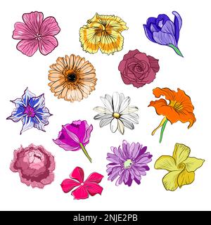 Ensemble d'illustrations vectorielles de têtes de fleurs Illustration de Vecteur