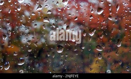 Gouttes de pluie rassemblées sur une fenêtre avec des feuilles abstraites colorées en arrière-plan Banque D'Images