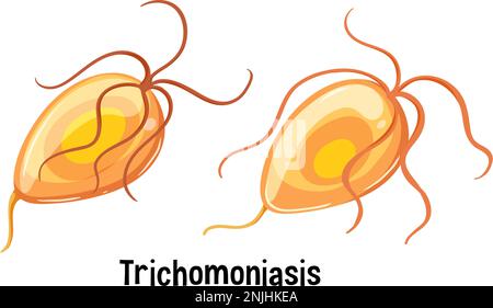 Trichomonas vaginalis avec illustration de texte Illustration de Vecteur