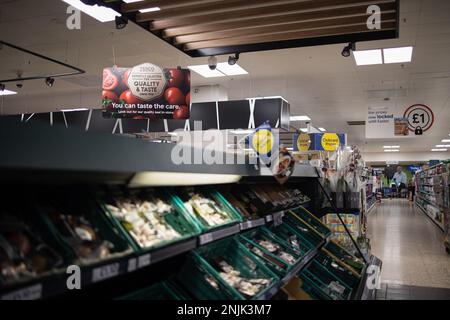 Londres, Royaume-Uni. 22nd févr. 2023. Une publicité est suspendue au plafond dans un supermarché Tesco à Londres. Les supermarchés de toute la Grande-Bretagne luttent actuellement pour maintenir l'approvisionnement en légumes frais et en fruits tels que les tomates, le poivre et le concombre en raison des conditions météorologiques défavorables en Europe du Sud. Les supermarchés en chaîne, dont Aldi et Tesco, ont annoncé des restrictions de rationnement et d'achat de certains fruits et légumes. (Photo de Hesther ng/SOPA Images/Sipa USA) crédit: SIPA USA/Alay Live News Banque D'Images