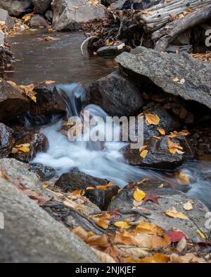Chutes d'eau parmi les feuilles d'automne sur Mont Tremblant. Québec. Canada. Format vertical. Banque D'Images