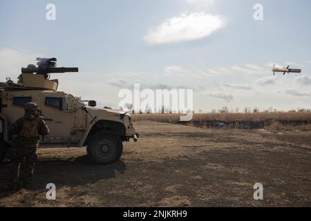 ÉTATS-UNIS Marines avec 3D Bataillon, 4th Marines, tire un SYSTÈME DE MISSILES DE REMORQUAGE à partir d'un véhicule tactique de feu interarmées pendant Fuji Viper 23,2 au Centre d'entraînement d'armes combinées, Camp Fuji, Japon, 3 février 2023. Fuji Viper fournit des Marines opérant au Japon avec des possibilités d'entraînement réalistes pour exercer des armes combinées et maintenir la compétence, la létalité et la préparation. 3/4 est déployé dans l'Indo-Pacifique sous le titre 4th Marines, 3D Marine Division dans le cadre du Programme de déploiement d'unité. (É.-U. Photo du corps marin par le Cpl Diana Jimenez) Banque D'Images